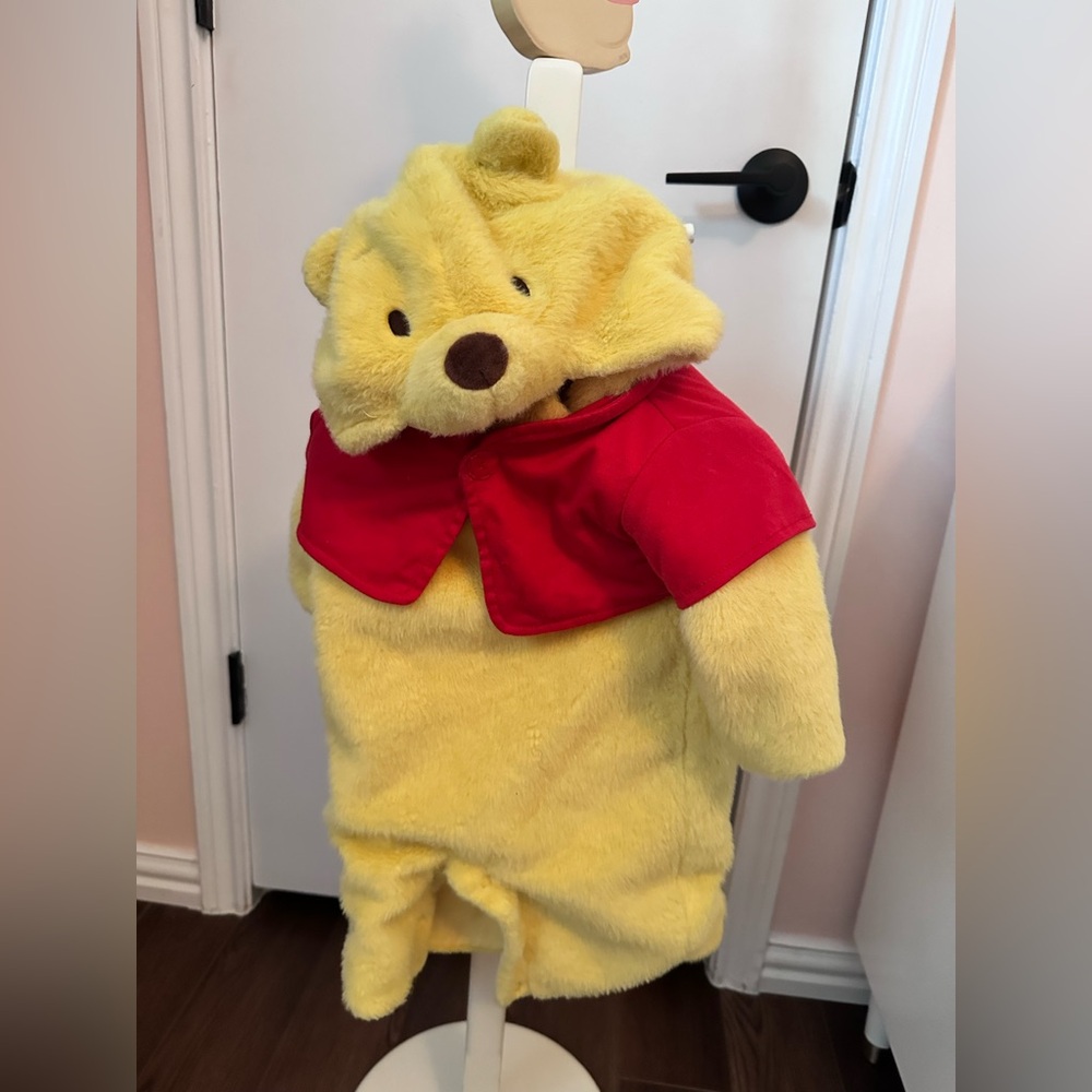 Pottery Barn Winnie the Pooh Costume